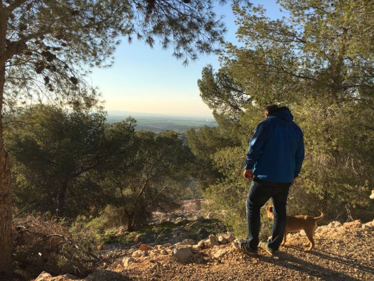 israel_winter_walk_dog_gilboapassion